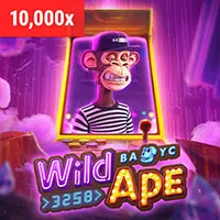 Hình ảnh minh họa các biện pháp bảo mật dữ liệu mạnh mẽ của vwbet chính thức