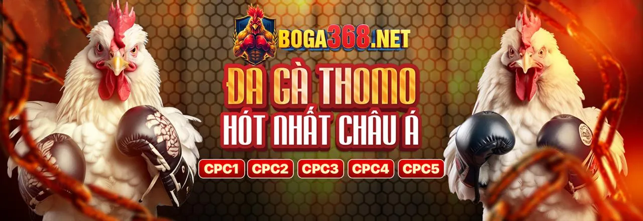 Sảnh Đá Gà Trực Tuyến vwbet chính thức